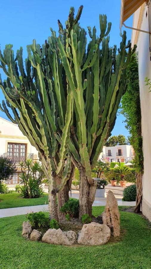 La Sirena Appartement Vera